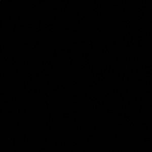 Meet your Posher, Omari